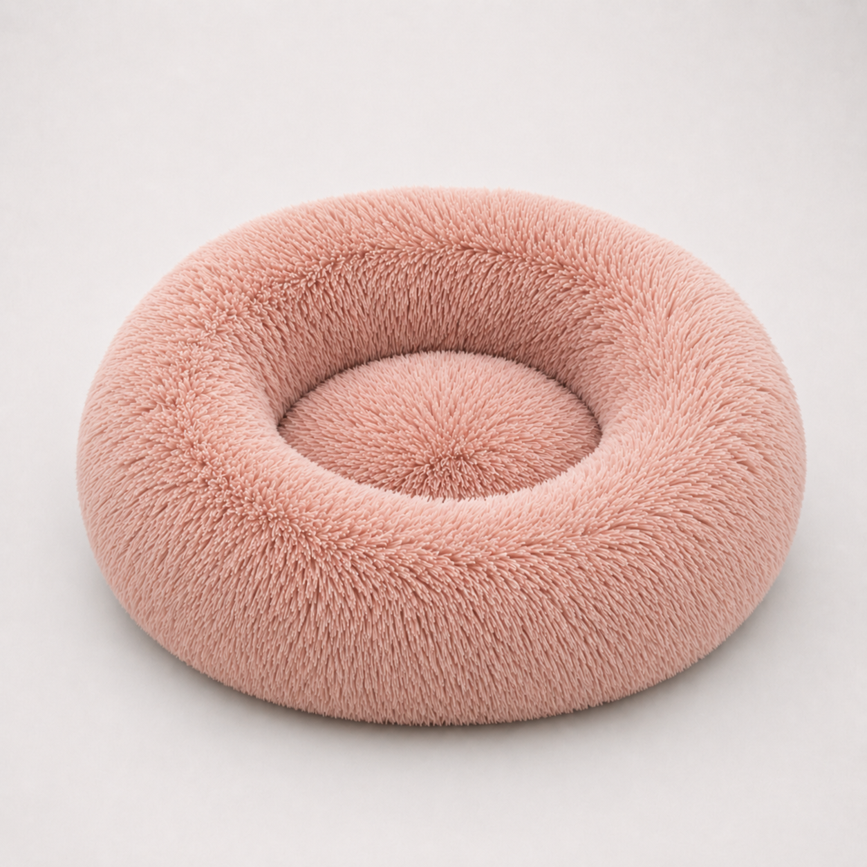 Cloud Nest