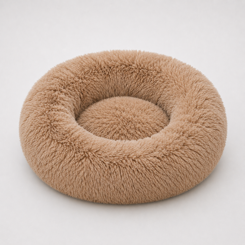 Cloud Nest