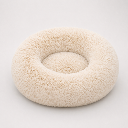 Cloud Nest